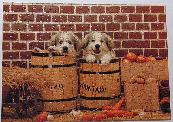 2014.03.22 200P Twin Brothers (1).jpg