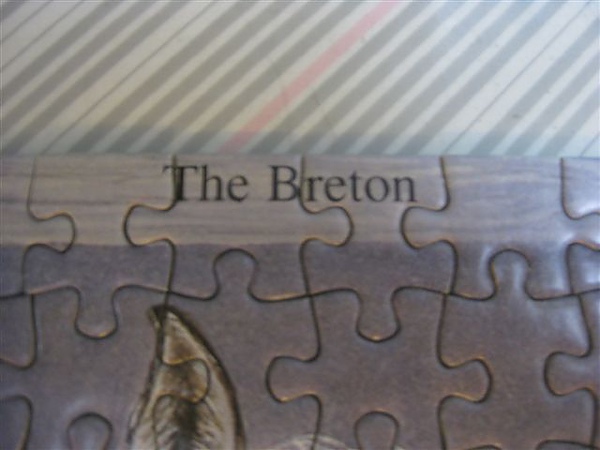 2010.06.22 1000片Heavy Horses (25).JPG