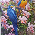 2013.12-2014.05 1500pcs Parrots and orchids