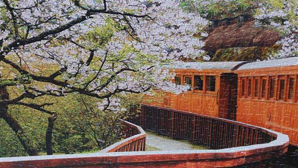 2014.06.18 1000pcs 阿里山小火車 (3).jpg