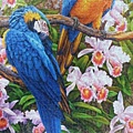 2013.12-2014.06.28 1500pcs Parrots and Orchids (3).jpg