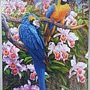 2013.12-2014.06.28 1500pcs Parrots and Orchids (5).jpg