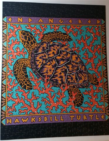 2014.08.26 500pcs Hawksbill Sea Turtle (10).jpg