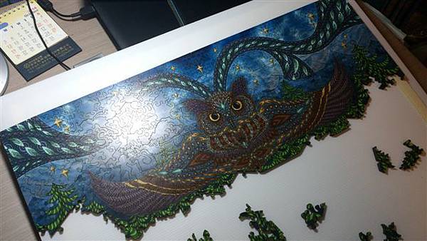 2014.10.18 338pcs Owl Eyes (2).jpg