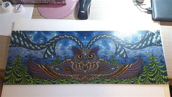 2014.10.18 338pcs Owl Eyes (4).jpg