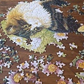 2014.12.06 500pcs Ivory cats puzzle.jpg