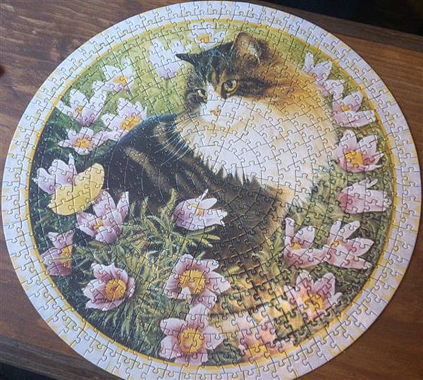 2014.12.06 500pcs Ivory cats puzzle (2).jpg