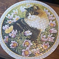 2014.12.06 500pcs Ivory cats puzzle (2).jpg