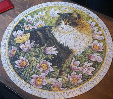 2014.12.06 500pcs Ivory cats puzzle (3).jpg