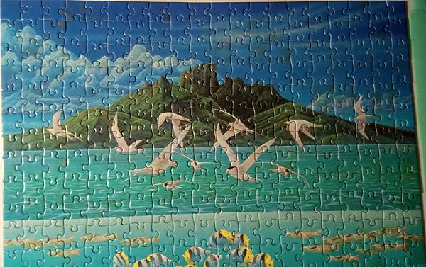 2017.02.22 500pcs Aqua Marine (2).jpg