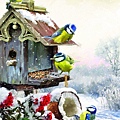 ArtPuzzle 500P Bluetits (7.25) (BV接).jpg