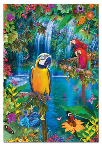 Educa 500P Bird Tropical Land (7.31) (BV接).jpg