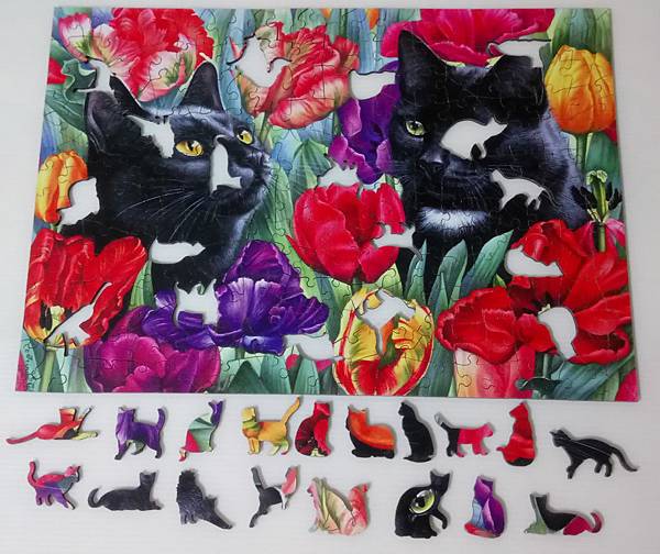 2017.04.14 250pcs Amongst the Tulips (4).jpg