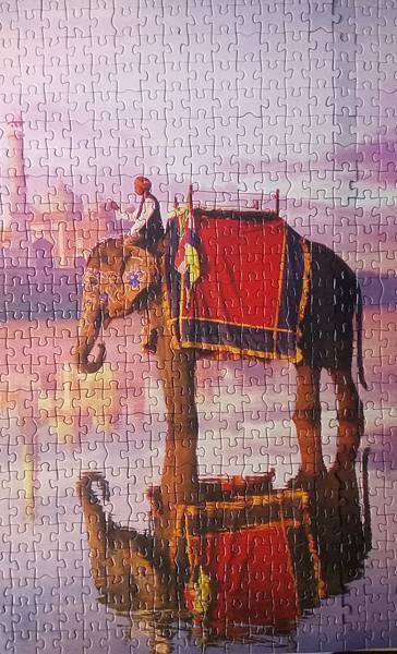 2017.04.26 1000pcs Elephant at Taj Mahal (3).jpg