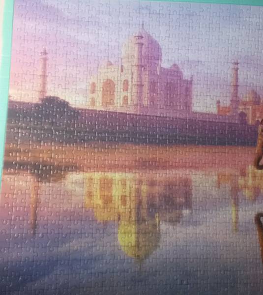 2017.04.26 1000pcs Elephant at Taj Mahal (4).jpg