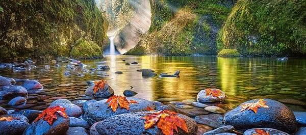 Castorland B-060191 - Steamy morning - 600 pieces.jpg