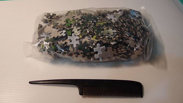 2017.08.23 500pcs Lost City of the Incas Machu Picchu-Peru (1).JPG