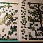 2017.08.26-27 1000pcs Green Forest (2).JPG