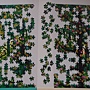 2017.08.26-27 1000pcs Green Forest (3).JPG