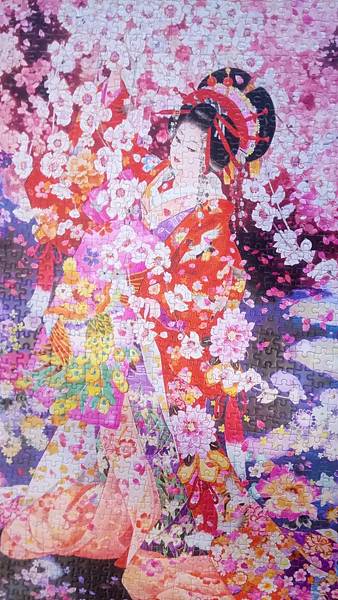 2017.11.25 1000pcs Sakura no yume (2).jpg