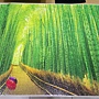 2017.11.22-23, 26 1000pcs Bamboo Forest in Kyoto (1).jpg