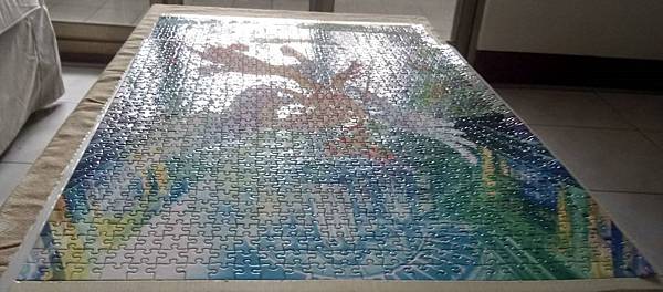 2017.12.03 1000pcs Light of Rebirth (8).jpg