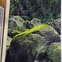 2018.01.09 500pcs Trittico - Nature - 2.jpg