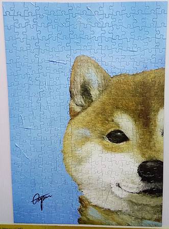 2018.02.14 300pcs 一伴系列7-柴犬.jpg