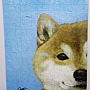 2018.02.14 300pcs 一伴系列7-柴犬.jpg