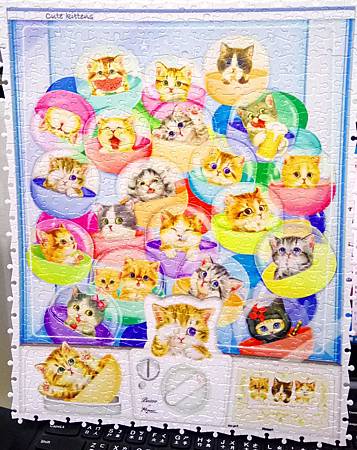 2018.04.13 500pcs Kittens in Capsule Machine (1).jpg