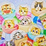 2018.04.13 500pcs Kittens in Capsule Machine (2).jpg