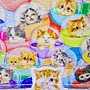 2018.04.13 500pcs Kittens in Capsule Machine (3).jpg