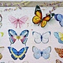 2018.06.17 1000pcs Painting of Butterflies (2).jpg