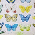 2018.06.17 1000pcs Painting of Butterflies (3).jpg