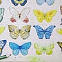 2018.06.17 1000pcs Painting of Butterflies (3).jpg