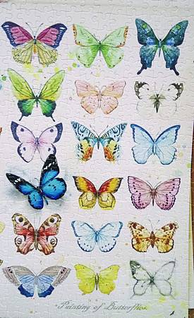 2018.06.17 1000pcs Painting of Butterflies (4).jpg