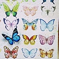 2018.06.17 1000pcs Painting of Butterflies (4).jpg