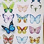 2018.06.17 1000pcs Painting of Butterflies (4).jpg