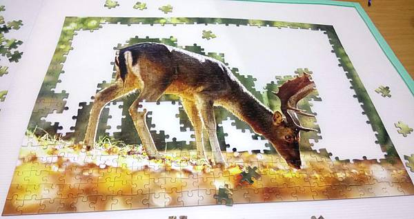 2018.06.26 500pcs King of the Forest (1).jpg