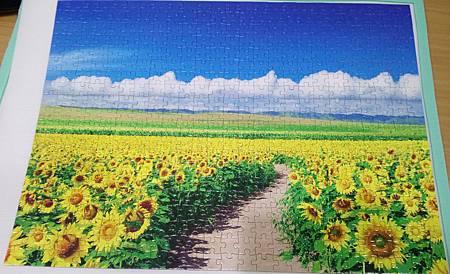 2018.06.29 500pcs Sunflower Field & Blue Sky  (1).jpg