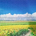 2018.06.29 500pcs Sunflower Field & Blue Sky  (2).jpg