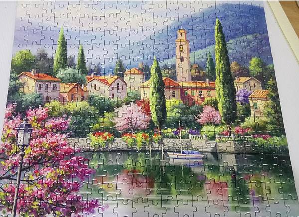 2018.08.01 500pcs Village Lake Afternoon (3).jpg