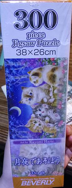 2018.08.11 300pcs Cats (1).jpg