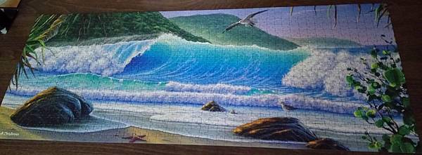 2018.08.28 1000pcs Catch a Wave (2).jpg