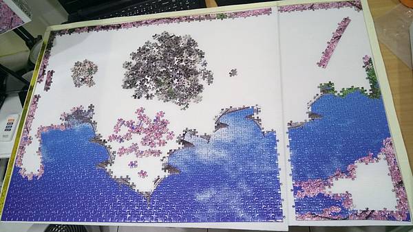 2018.11.04 2016pcs Sakura Japan (1).jpg