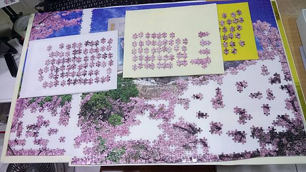 2018.11.08 2016pcs Sakura Japan.jpg