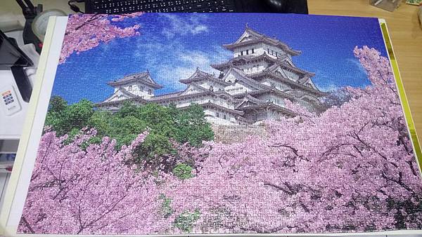 2018.11.12 2016pcs Sakura Japan (1).jpg