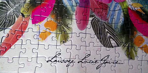 2019.01.10  500pcs Raton-laveur (3).jpg