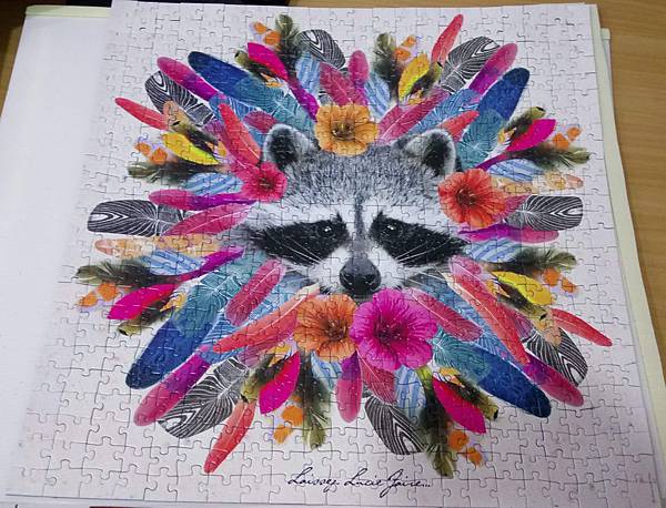 2019.01.10  500pcs Raton-laveur (1).jpg