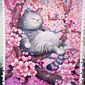 2019.01.20 300pcs Sakura 小睡片刻 (1).jpg